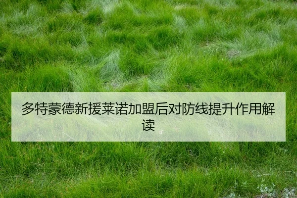 多特蒙德新援莱诺加盟后对防线提升作用解读